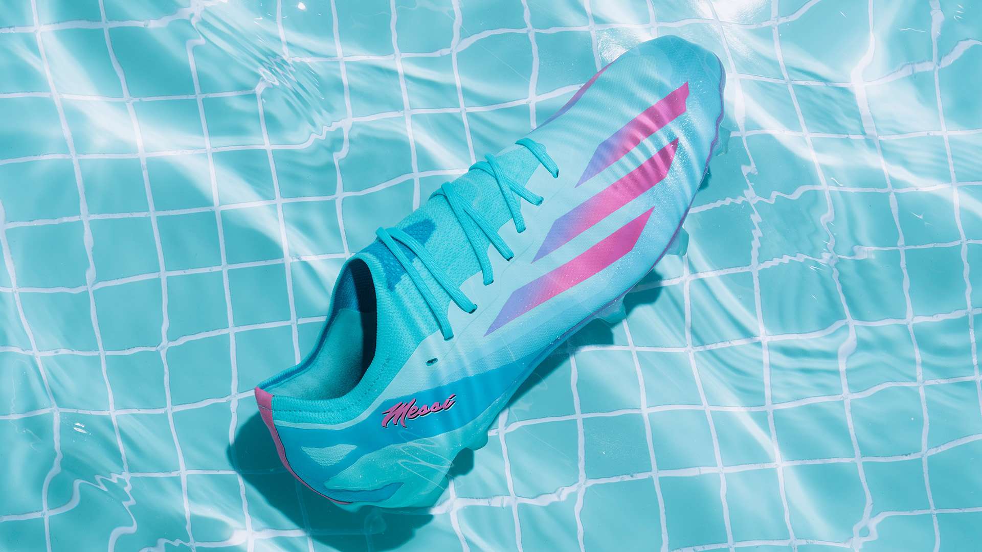 更多人关注 更多人关注